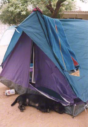 Pablo vor meinem Zelt